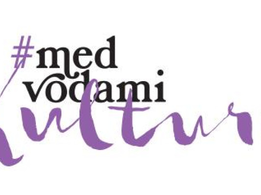 Anketa za lokalno strategijo na področju kulture javni zavod sotočje medvode