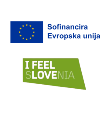 LAS, Glej Kino! javni zavod sotočje medvode