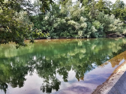 PONOVNO VZORČENJE POTRDILO DOBRO KAKOVOST KOPALNE VODE REKE SORE V GORIČANAH javni zavod sotočje medvode
