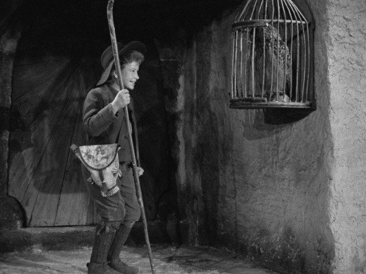 PETEK JE DAN ZA KINO javni zavod sotočje medvode